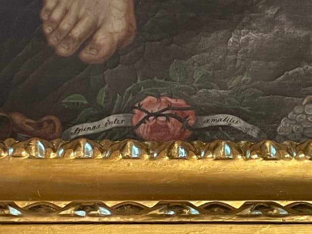 Barwne ołtarze w Rzykach odzyskały świetność