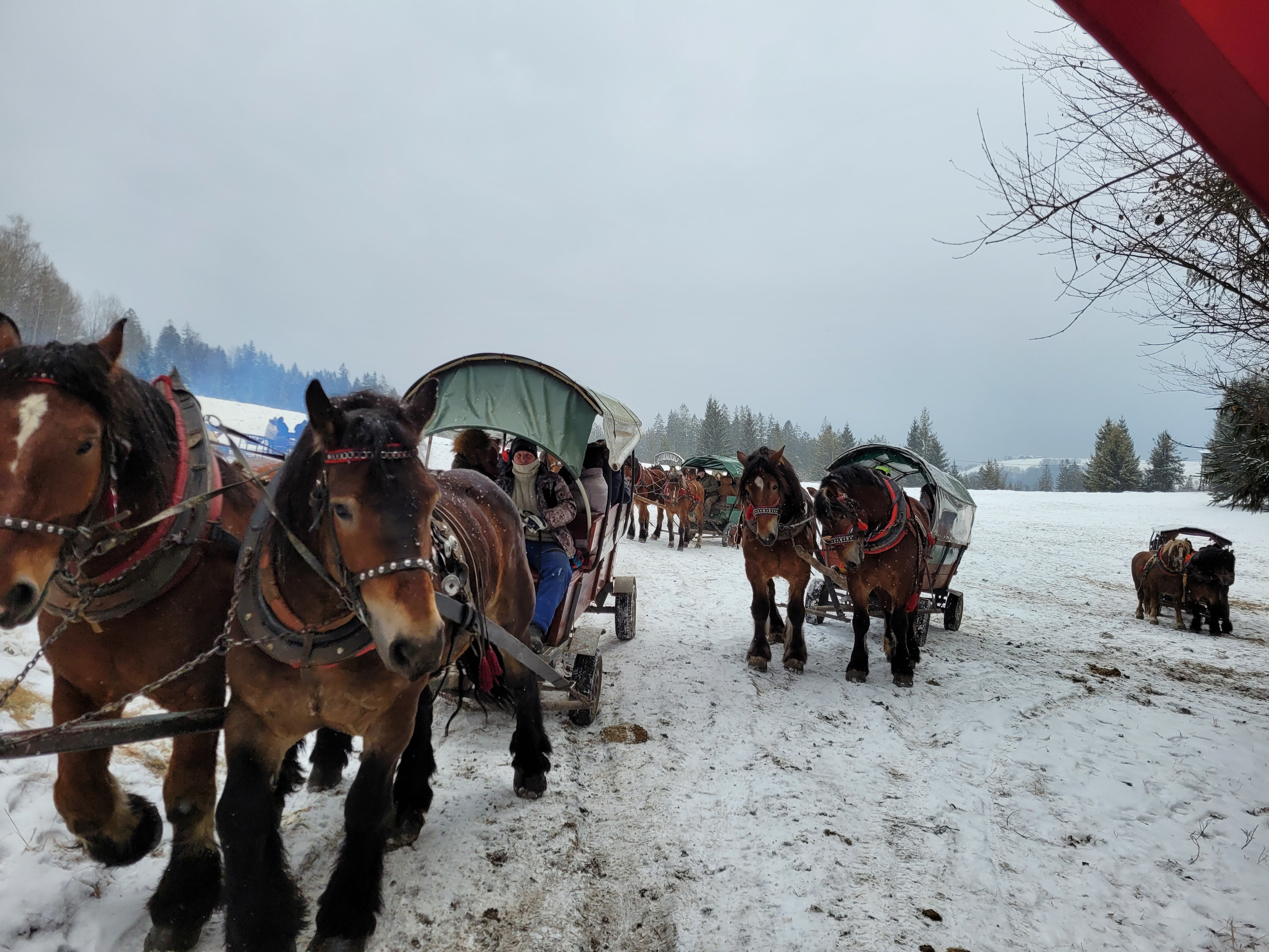 Pielgrzymka do Kościoła Jubileuszowego w Istebnej i kulig - parafia Jawiszowice św. Marcina Bpa