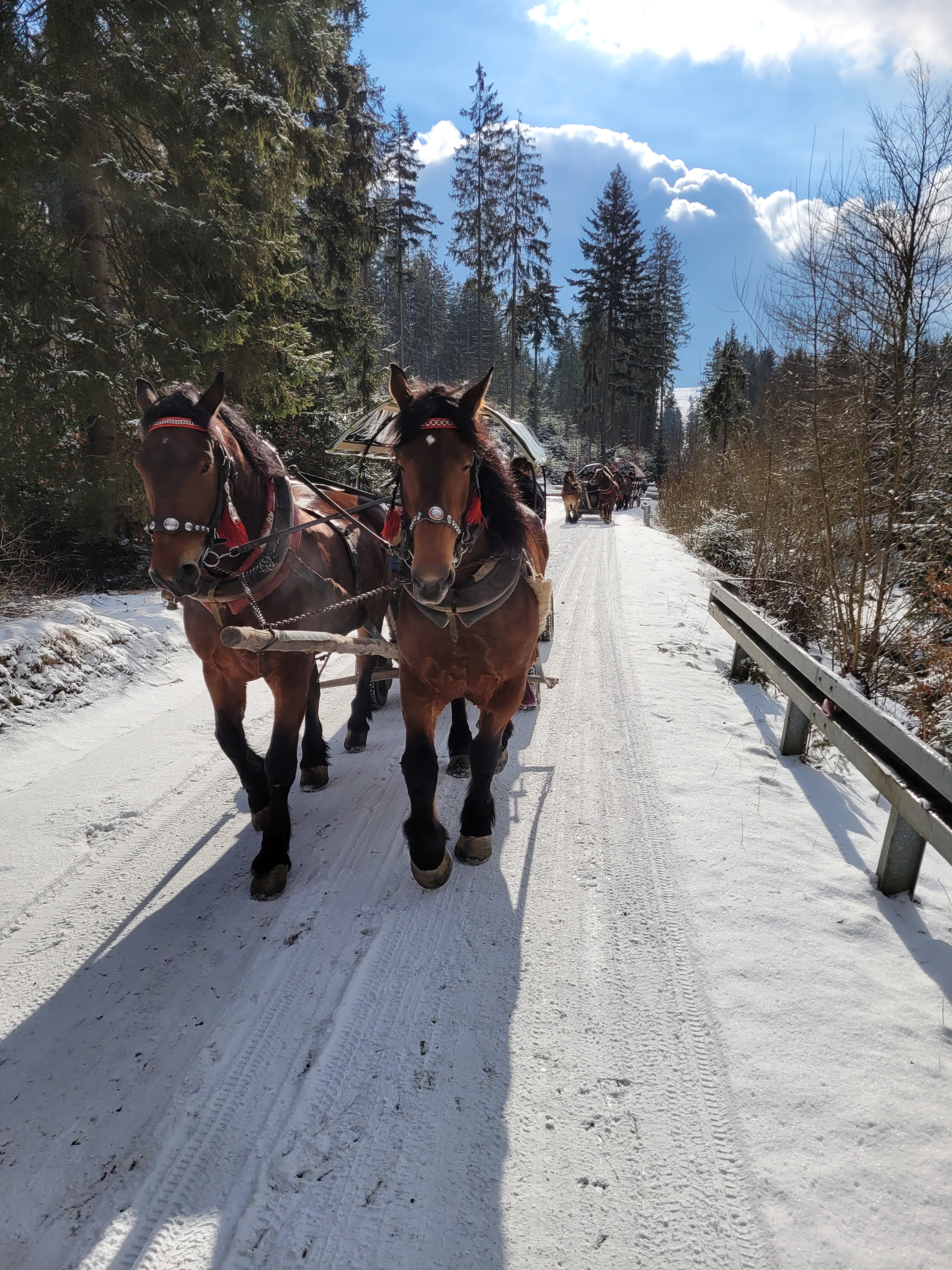 Pielgrzymka do Kościoła Jubileuszowego w Istebnej i kulig - parafia Jawiszowice św. Marcina Bpa