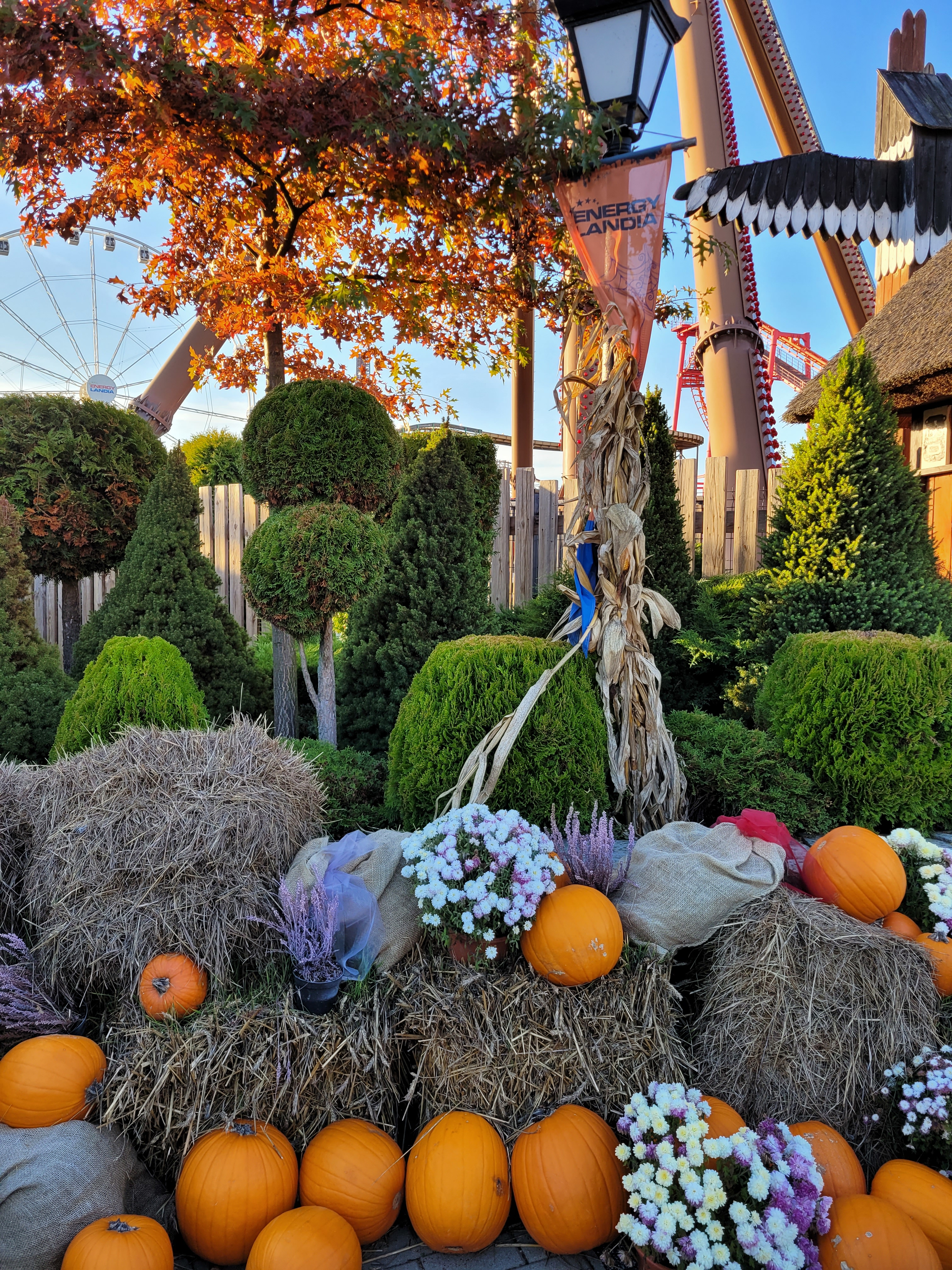 Wycieczka do Energylandii - Parafia Jawiszowice św. Marcina Bpa